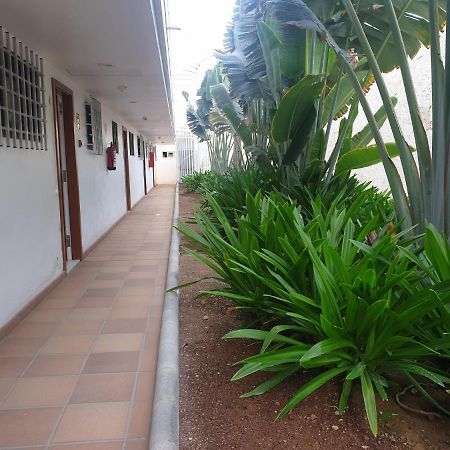 El Apartamento De Concha San Agustín Eksteriør billede